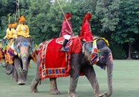 Elephant Festival, Jaipur