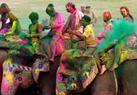 Holi, Jaipur