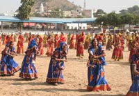 Nagaur Fair, Nagaur