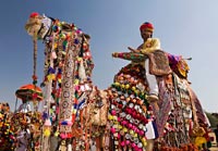 Pushkar Fair