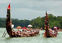 Snake Boat Races