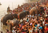 Sonepur Mela