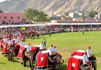 Winter Festival, Mount Abu