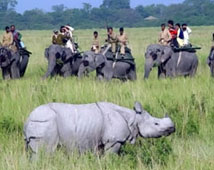 Periyar Wildlife National Park