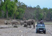 Rajaji National Park