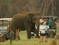 Wildlife Parks, Karnataka