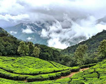 Munnar City