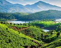 Munnar Tour Packages