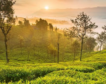 Ooty in India