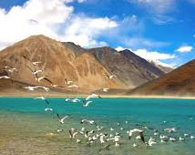Ladakh Travel Package 