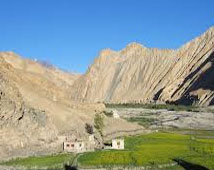 Markha Valley, Ladakh