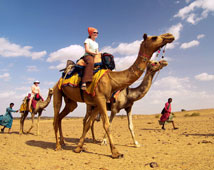 Camel Safari Holiday