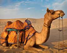 Rajasthan Travel Guide