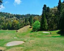 Ranikhet Tour Packages