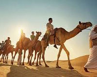 Desert Safari Tour
