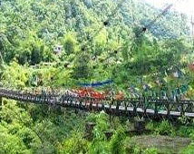 Gangtok Tour Packages