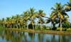 Kerala Backwaters Tour Packages